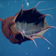 A rare image of a vampire squid.